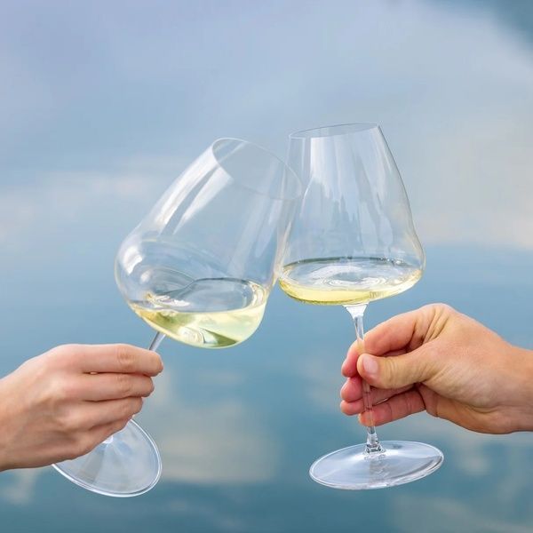 Келих Riedel Winewings Sauvignon Blanc 740 мл., для вина 1234/33 фото