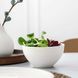 Салатник Villeroy & Boch Artesano Professionale 15 см., 550 мл., порцеляна, білий 16-4025-1900 фото 1
