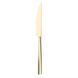 Столовий ніж Pintinox Heaven Velvet champagne 2ZL60003 фото