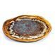 Тарілка обідня Tognana Reef Oyster 28 см. асиметрична RY000285961 фото 2