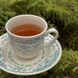 Чашка 190 мл. Bitossi Home Rose Turqueoise з блюдцем BID00252 фото 3